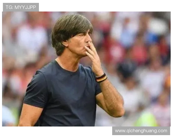 国王主帅埃利斯稳健执教 蒙克注入活力激活球队攻防体系